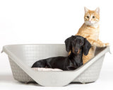 Bed for cats and dogs