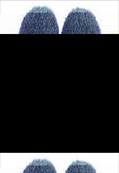 نسائي القطن البيت النعال (الأزرق 37/38)