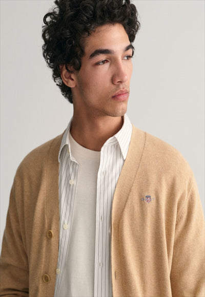 Classic cotton V-neck sweater