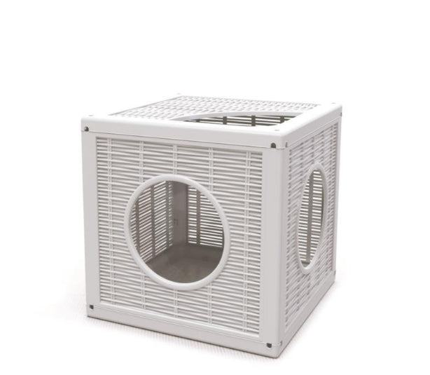 بيت للعب القطط