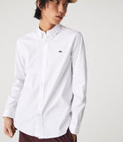 Luxurious regular fit cotton shirt for men