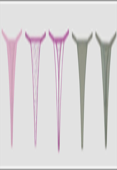 ملابس داخلية - مجموعة