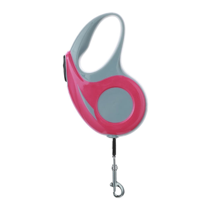 مقود حيوان أليف