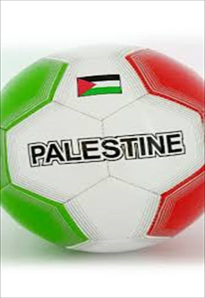 كرة قدم فلسطين