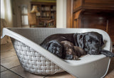 Bed for cats and dogs