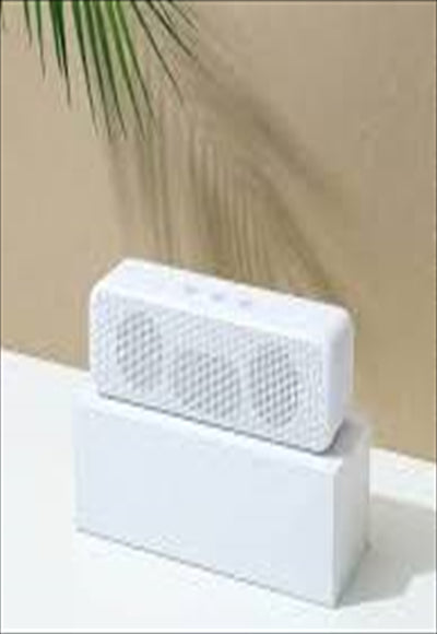 مكبر صوت لاسلكي 6 وات مع مكبرات صوت مزدوجة الطراز: LT-01 (أبيض)