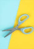 Five-layer scissors