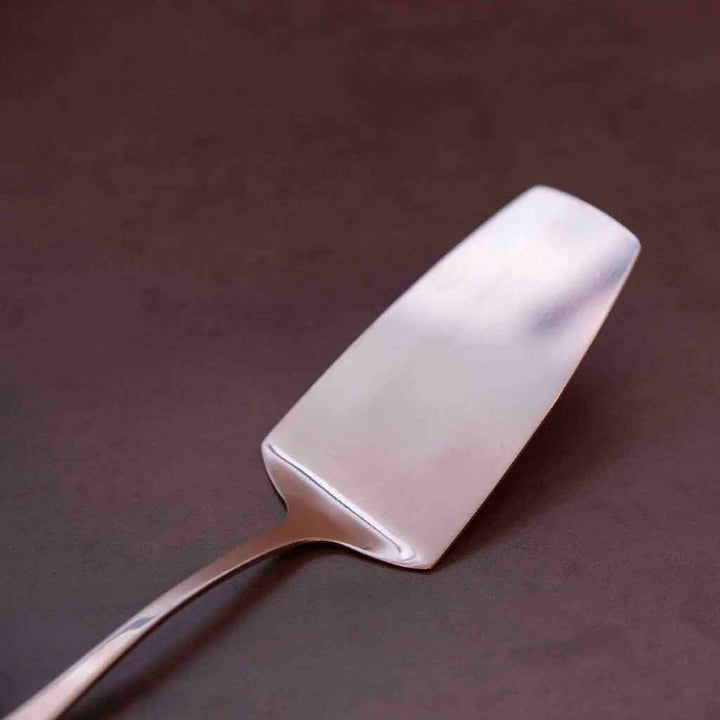 أداة دهن ستانلس ستيل