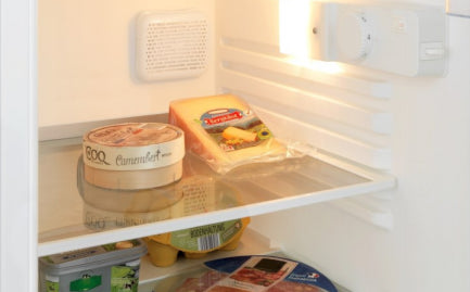 Refrigerator deodorizer