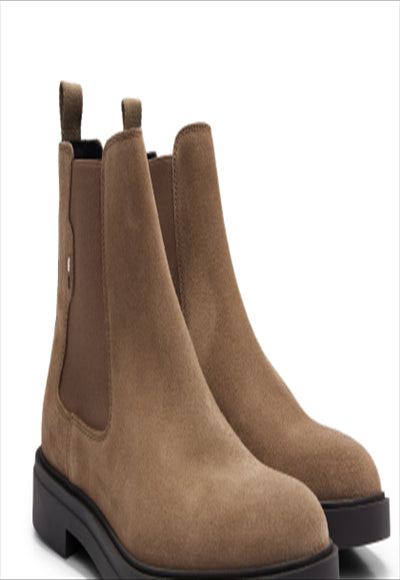 Calev_Cheb_sd 10247967 01