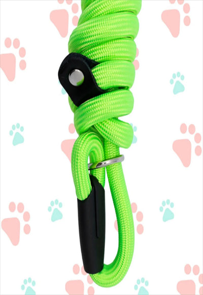 مقود الحيوانات الأليفة