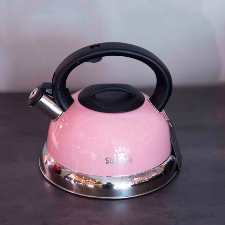 غلاية مع صفارة ملونة من الفولاذ المقاوم للصدأ