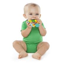 baby teether