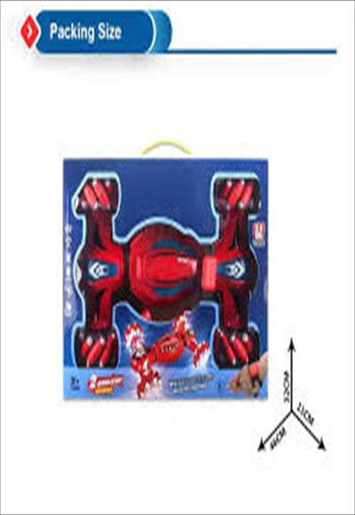 Crazy remote control car