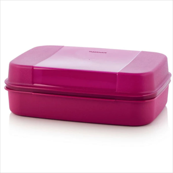 علبة تخزين حلويات - كبيرة