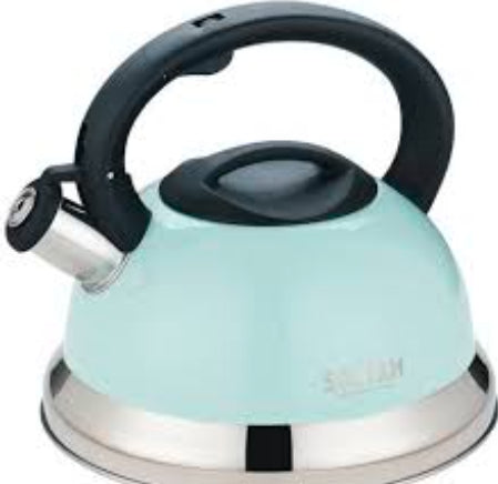 Colorful stainless steel kettle with whistle